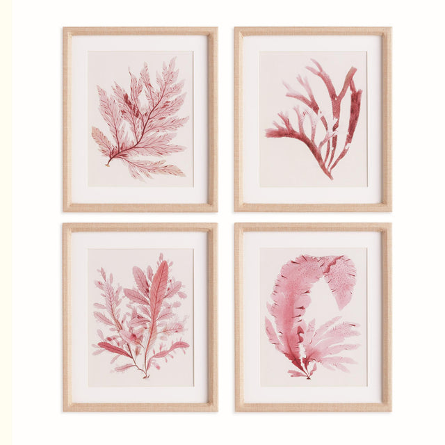 Napa Includes mat WATERCOLOR SEAWEED PRINTS, SET OF 4