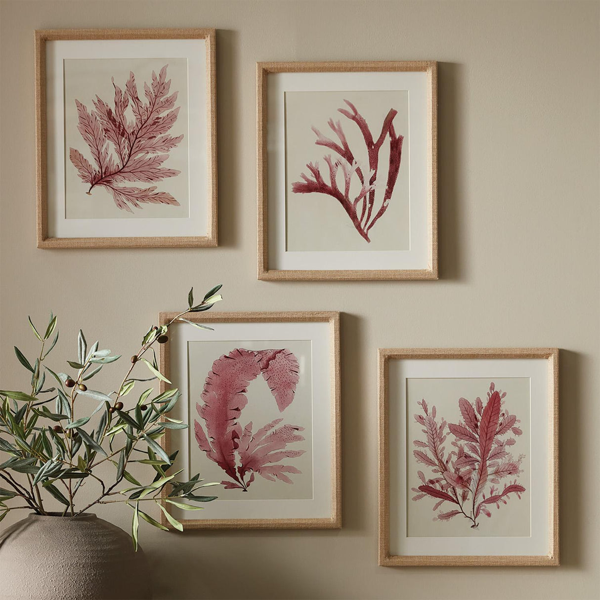 Napa Includes mat WATERCOLOR SEAWEED PRINTS, SET OF 4