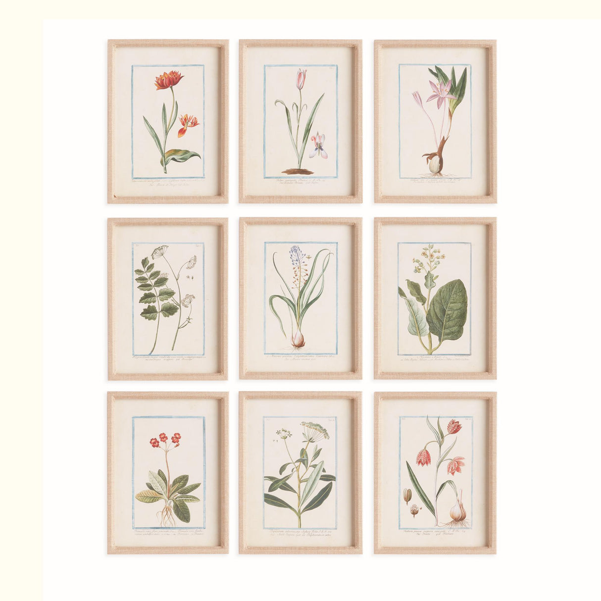 Napa Fabric wrapped frame DAINTY FLORA & FAUNA STUDY, SET OF 9