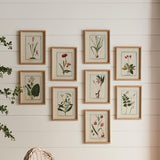 Napa Fabric wrapped frame DAINTY FLORA & FAUNA STUDY, SET OF 9