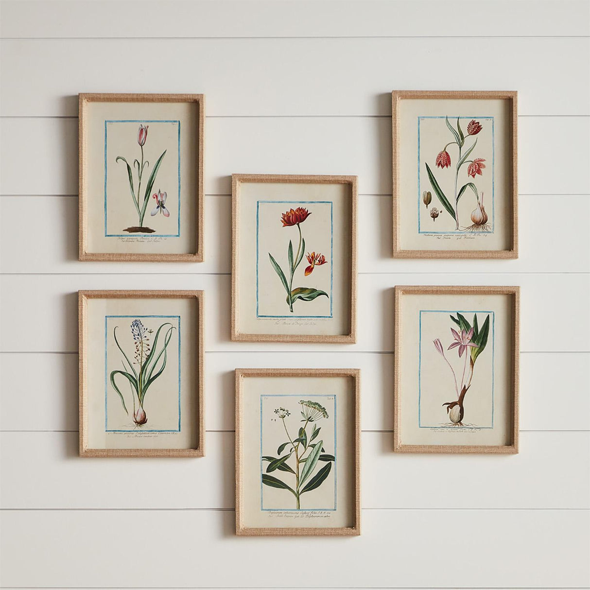 Napa Fabric wrapped frame DAINTY FLORA & FAUNA STUDY, SET OF 9