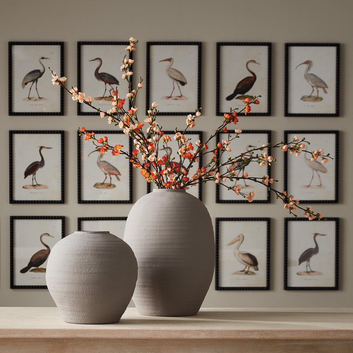 Napa  AQUATIC BIRDS STUDY, SET OF 9