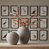 Napa  AQUATIC BIRDS STUDY, SET OF 9