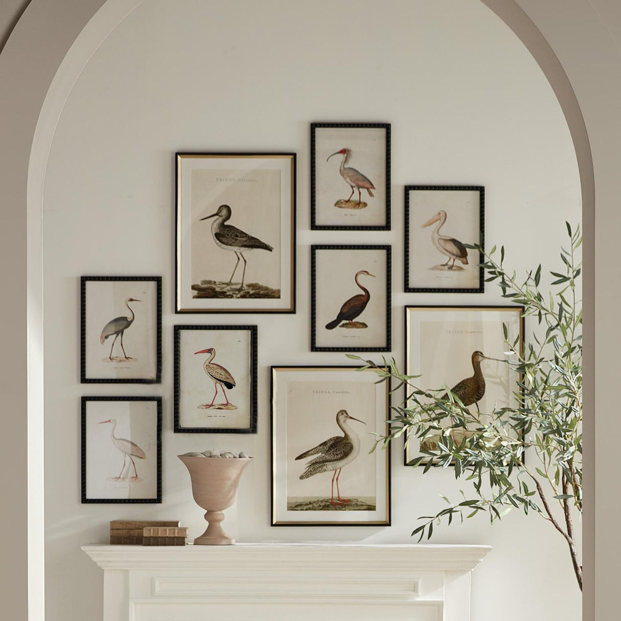 Napa  AQUATIC BIRDS STUDY, SET OF 9