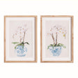Napa Includes mat POTTED PHALAENOPSIS PRINTS, SET OF 2