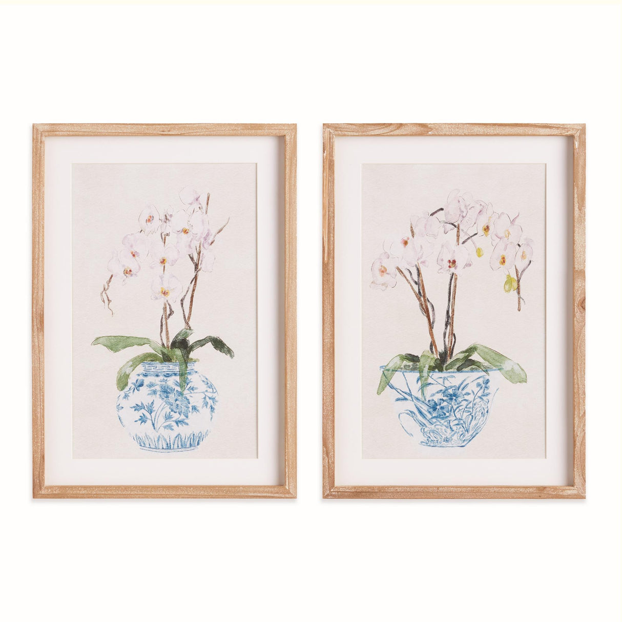 Napa Includes mat POTTED PHALAENOPSIS PRINTS, SET OF 2