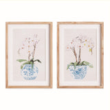 Napa Includes mat POTTED PHALAENOPSIS PRINTS, SET OF 2