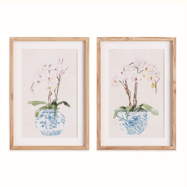 Napa Includes mat POTTED PHALAENOPSIS PRINTS, SET OF 2
