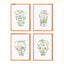 Napa Includes mat CHINOISERIE JAR PRINTS, SET OF 4