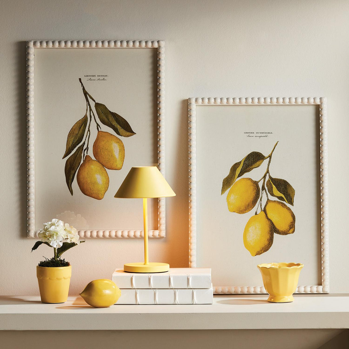 Napa  LEMON CUTTINGS STUDY, SET OF 3