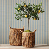 Napa Natural CAM BANANA LEAF BASKETS W/ HANDLES, SET OF 2