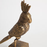 Napa Antique Brass PARROT SCULPTURE