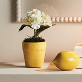 Napa Yellow MIRABELLE MINI CACHEPOTS, SET OF 6