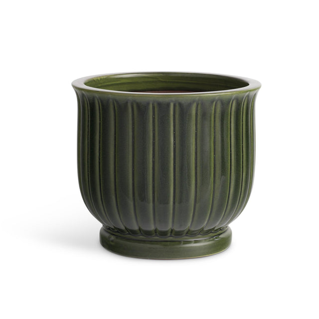 Napa Green MAKENNA POT LARGE