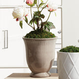 Napa Green GALE POTS, SET OF 2
