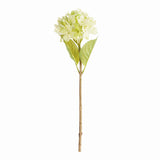 Napa Green HYDRANGEA STEMS 18", SET OF 6