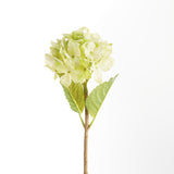 Napa Green HYDRANGEA STEMS 18", SET OF 6