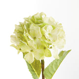Napa Green HYDRANGEA STEMS 18", SET OF 6