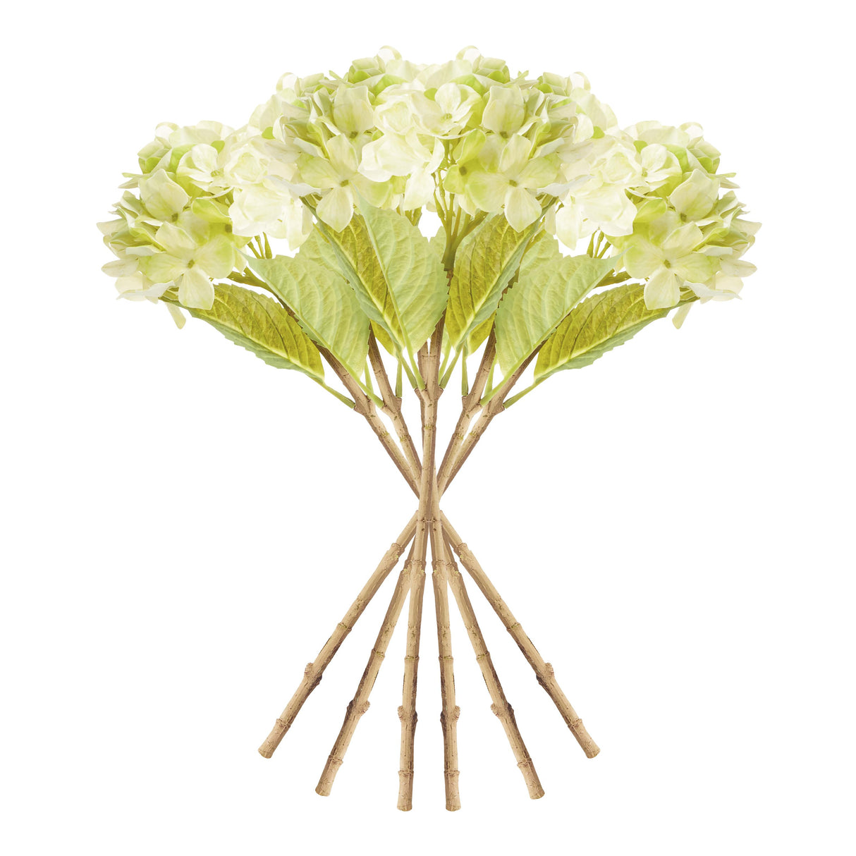 Napa Green HYDRANGEA STEMS 18", SET OF 6
