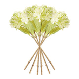 Napa Green HYDRANGEA STEMS 18", SET OF 6