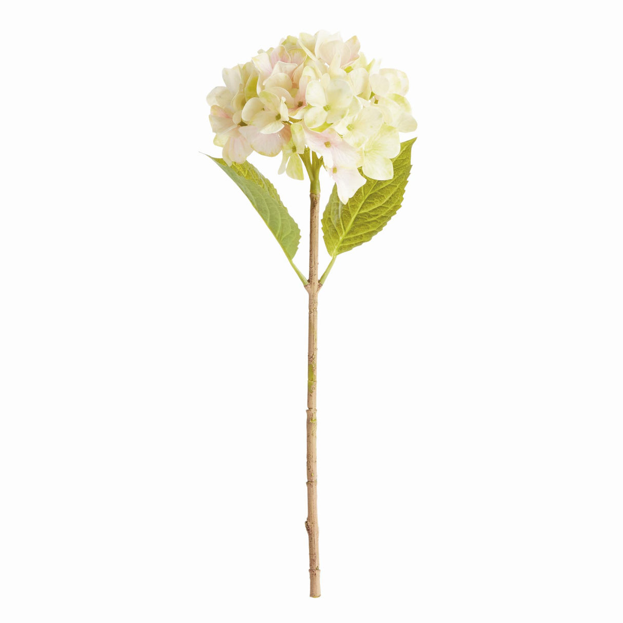 Napa Light Green HYDRANGEA STEMS 18", SET OF 6