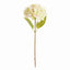Napa Light Green HYDRANGEA STEMS 18", SET OF 6