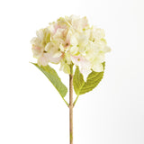 Napa Light Green HYDRANGEA STEMS 18", SET OF 6