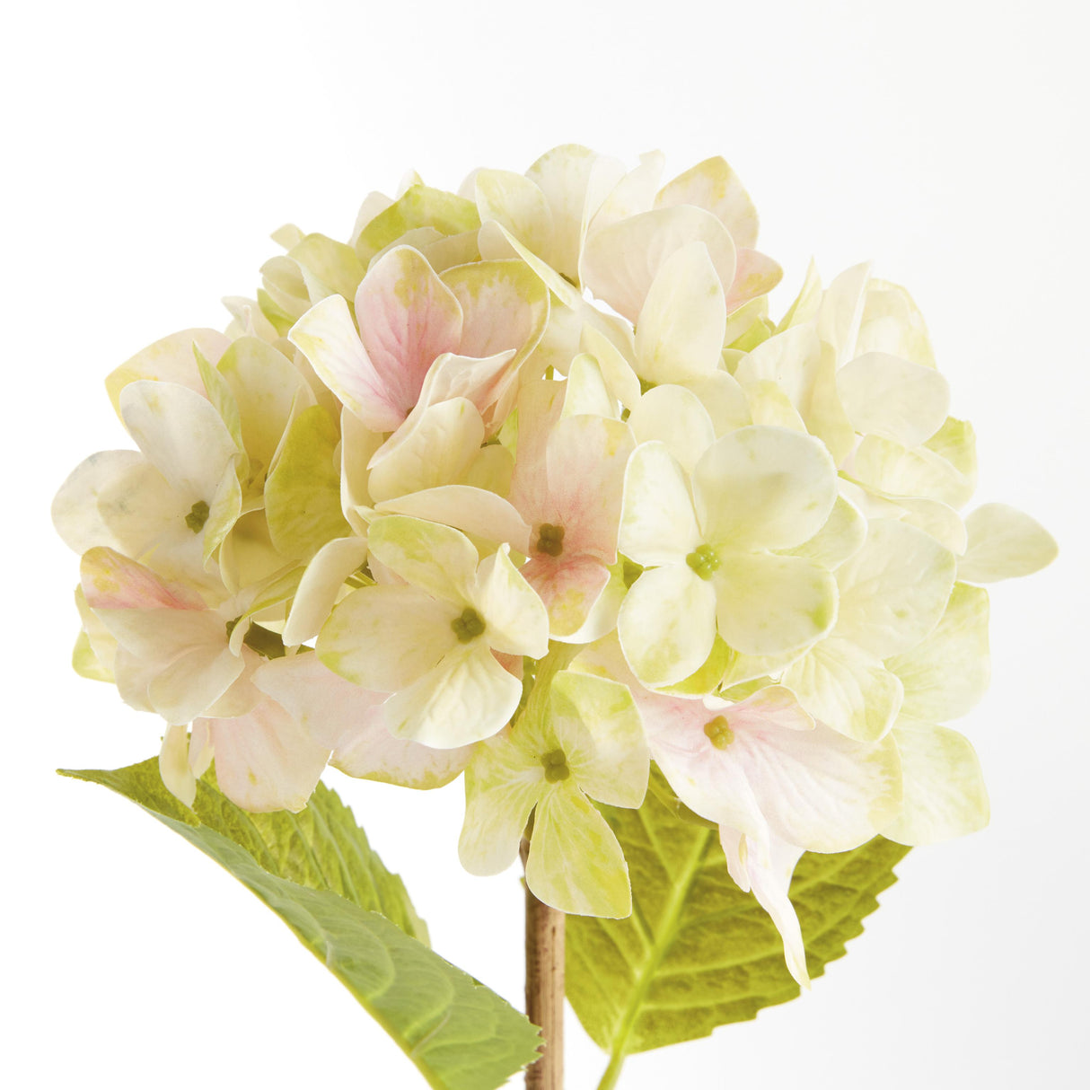 Napa Light Green HYDRANGEA STEMS 18", SET OF 6