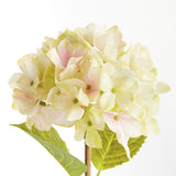 Napa Light Green HYDRANGEA STEMS 18", SET OF 6