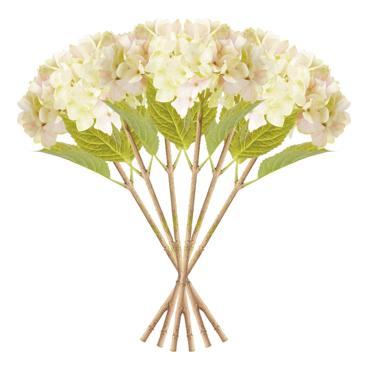 Napa Light Green HYDRANGEA STEMS 18", SET OF 6