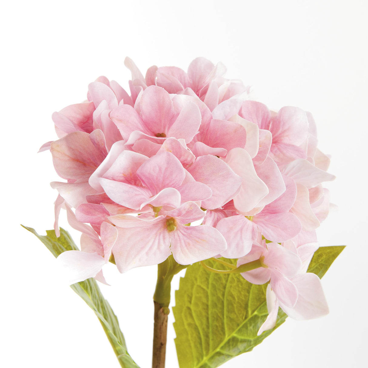 Napa Pink HYDRANGEA STEMS 18", SET OF 6