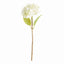 Napa White HYDRANGEA STEMS 18", SET OF 6
