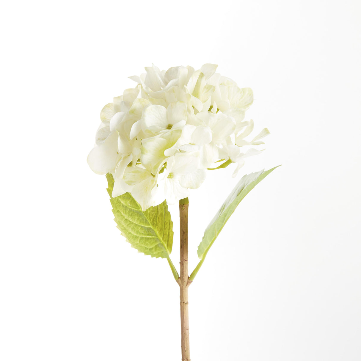 Napa White HYDRANGEA STEMS 18", SET OF 6