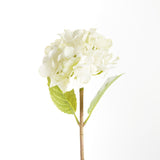 Napa White HYDRANGEA STEMS 18", SET OF 6