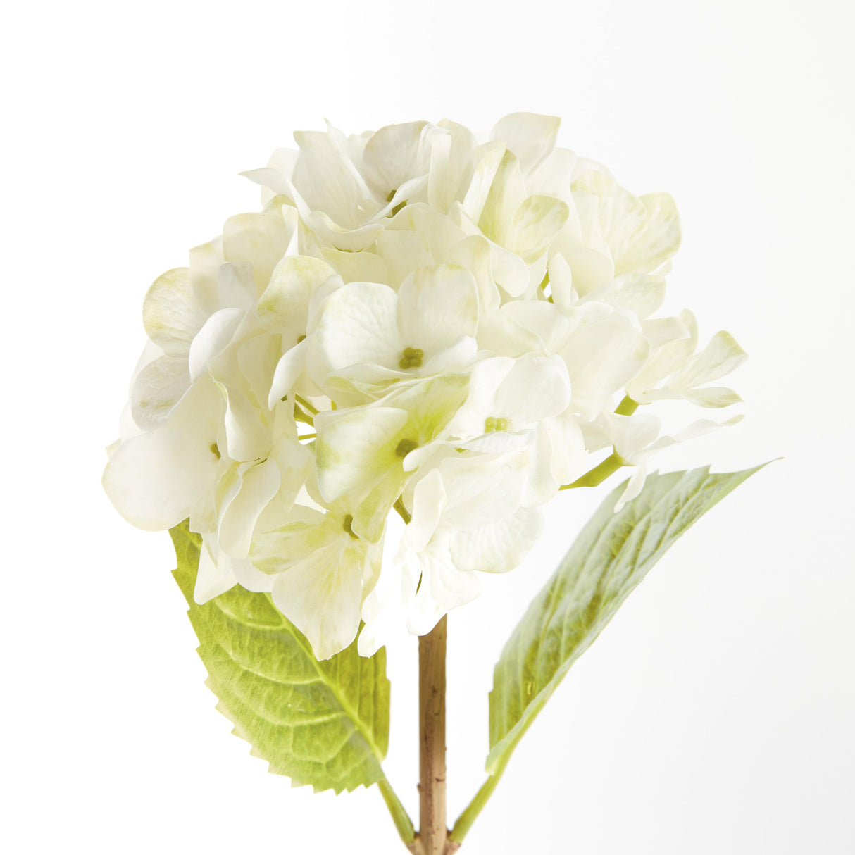 Napa White HYDRANGEA STEMS 18", SET OF 6