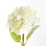 Napa White HYDRANGEA STEMS 18", SET OF 6