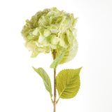 Napa Green MOPHEAD HYDRANGEA STEMS 30.5", SET OF 4