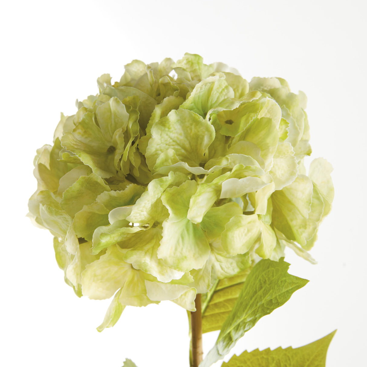 Napa Green MOPHEAD HYDRANGEA STEMS 30.5", SET OF 4