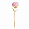 Napa Pink MOPHEAD HYDRANGEA STEMS 30.5"