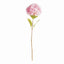 Napa Pink MOPHEAD HYDRANGEA STEMS 30.5"