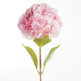 Napa Pink MOPHEAD HYDRANGEA STEMS 30.5"