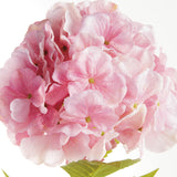 Napa Pink MOPHEAD HYDRANGEA STEMS 30.5"