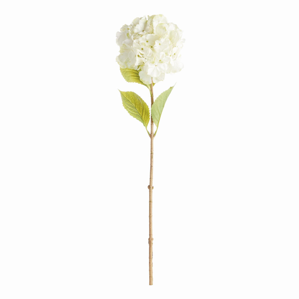 Napa White MOPHEAD HYDRANGEA STEMS 30.5"