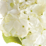 Napa White MOPHEAD HYDRANGEA STEMS 30.5", SET OF 4