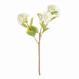 Napa White HYDRANGEA BRANCHES 31", SET OF 2