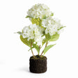 Napa White HYDRANGEA DROP-IN 18"
