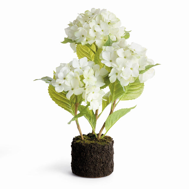 Napa White HYDRANGEA DROP-IN 18"