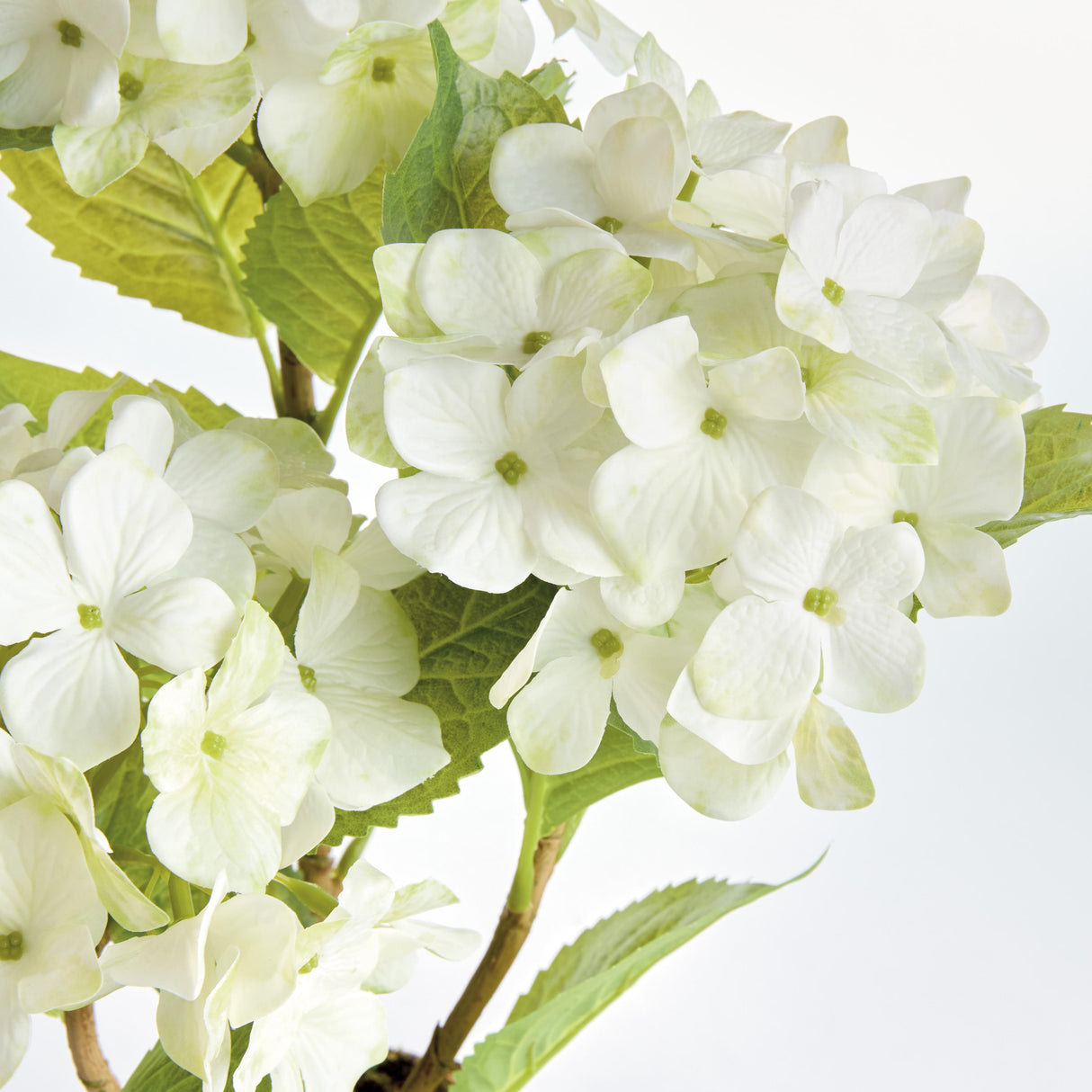Napa White HYDRANGEA DROP-IN 18"