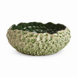 Napa Green ASTER DECORATIVE BOWL LARGE