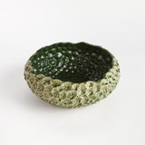 Napa Green ASTER DECORATIVE BOWL LARGE
